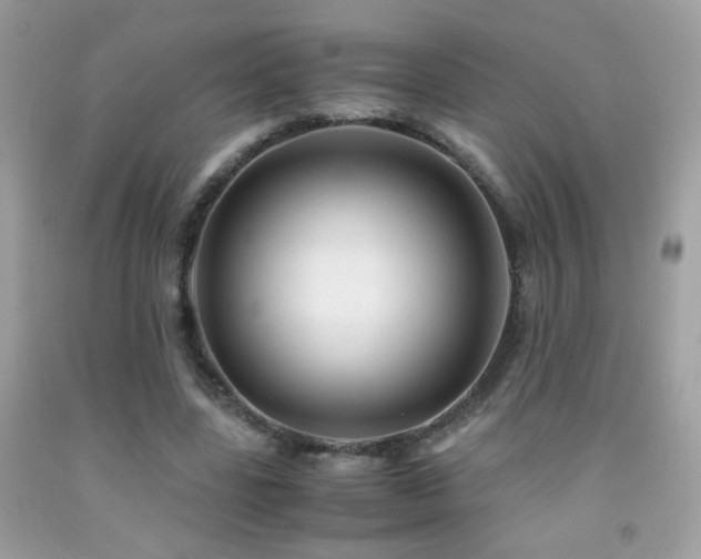 X0000091860539200709051210