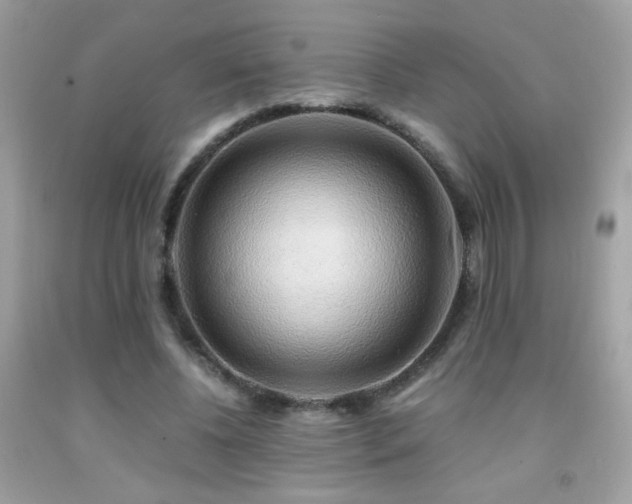 X0000091860540200709051210