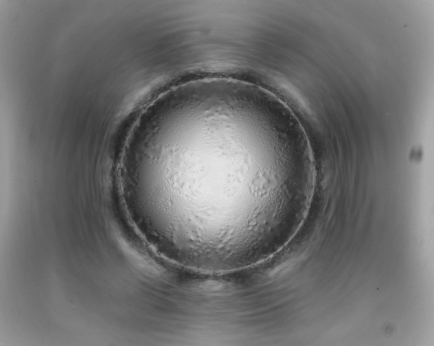 X0000091860542200709051210