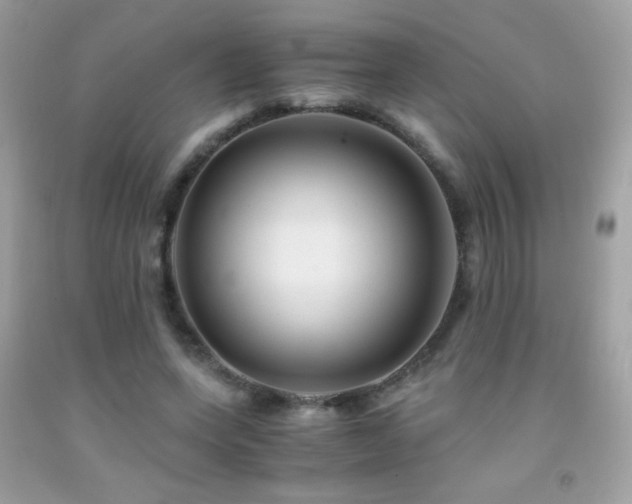 X0000091860543200709051210