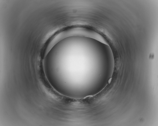 X0000091860544200709051210