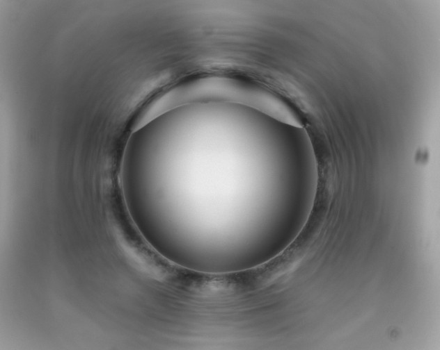 X0000091860546200709051210