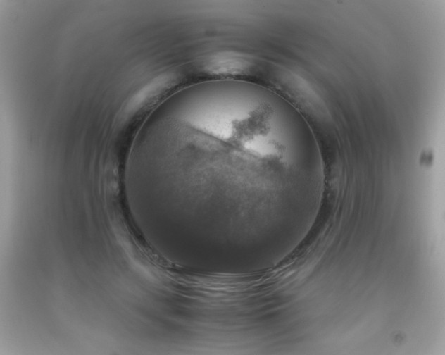 X0000091860547200709051210