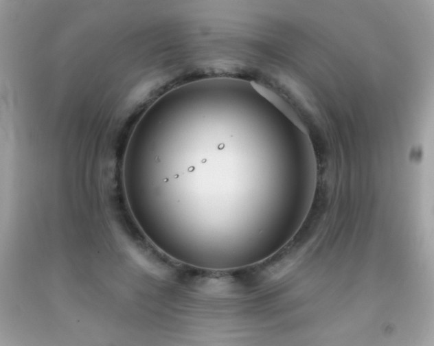 X0000091860548200709051210