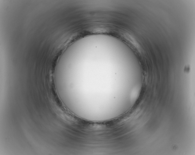 X0000091860549200709051210