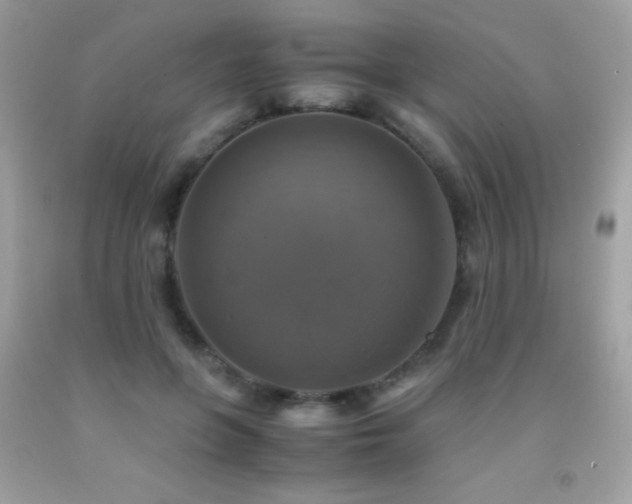 X0000091860551200709051210