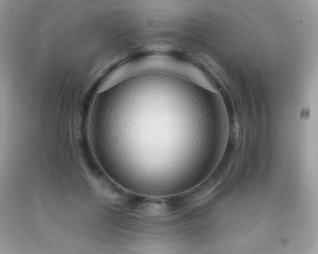 X0000091860552200709051210