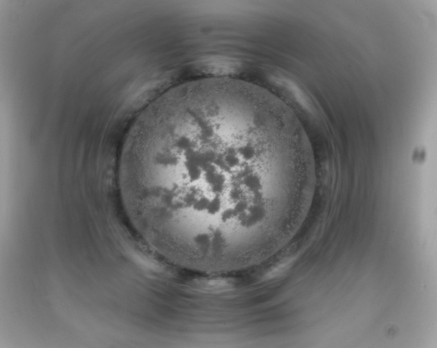 X0000091860553200709051210