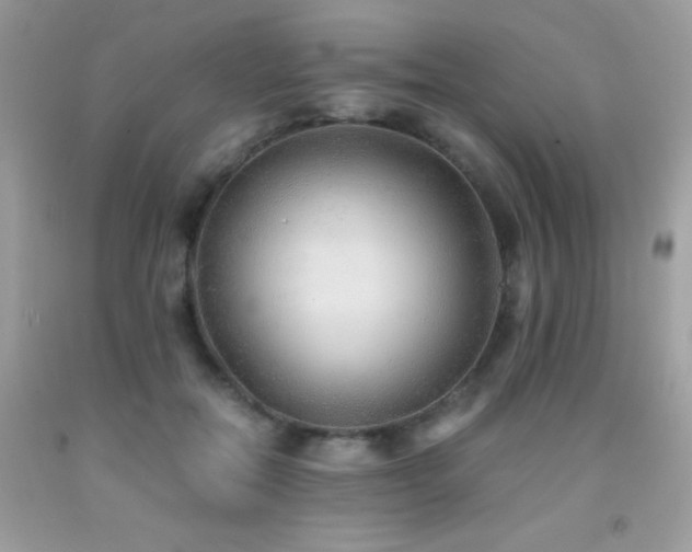 X0000091860554200709051210