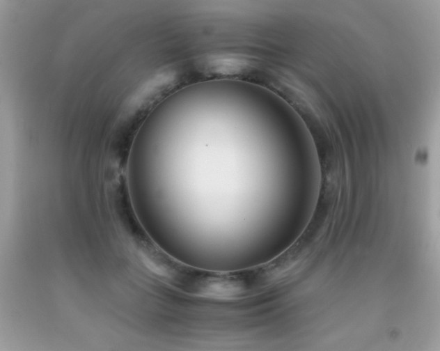 X0000091860555200709051210