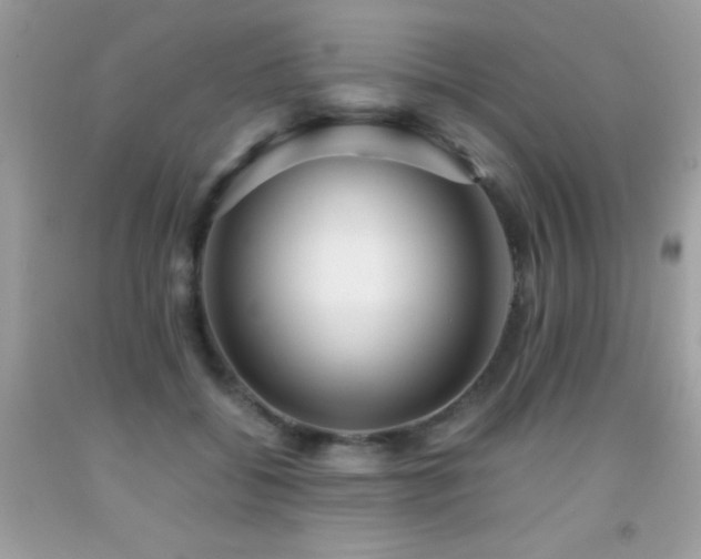 X0000091860556200709051210