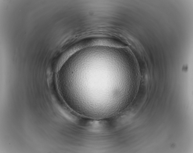 X0000091860558200709051211