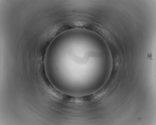 X0000091860559200709051211