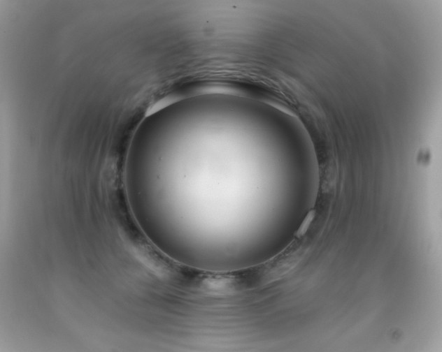 X0000091860560200709051211