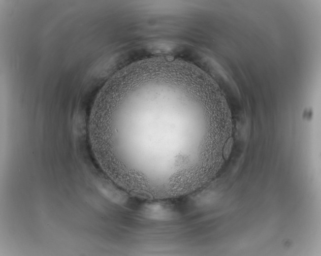 X0000091860561200709051211