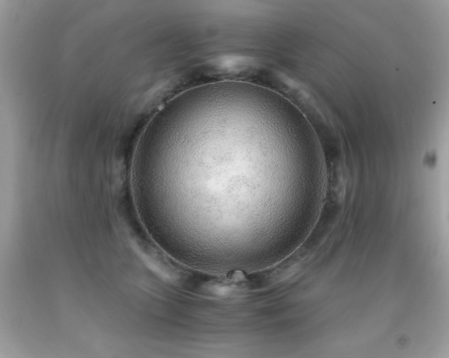 X0000091860563200709051211