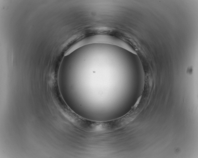 X0000091860564200709051211