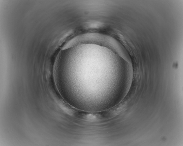 X0000091860566200709051211