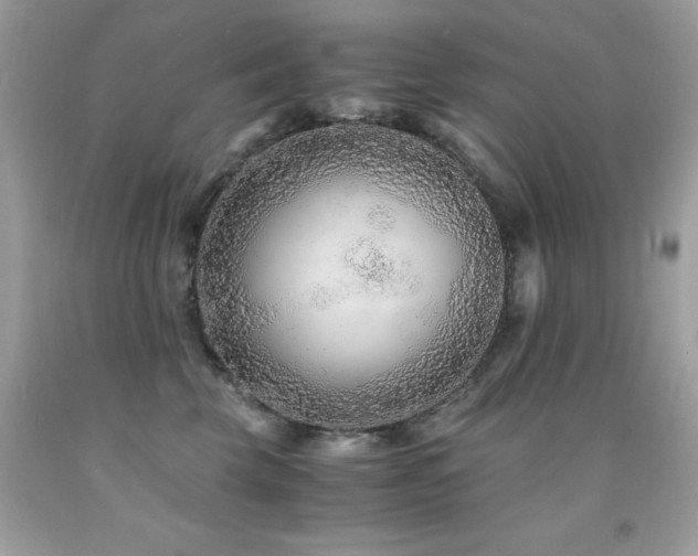 X0000091860569200709051211