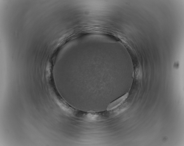 X0000091860570200709051211