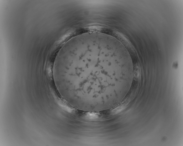 X0000091860573200709051211