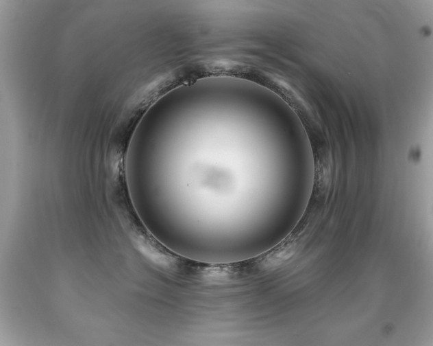 X0000091860574200709051211