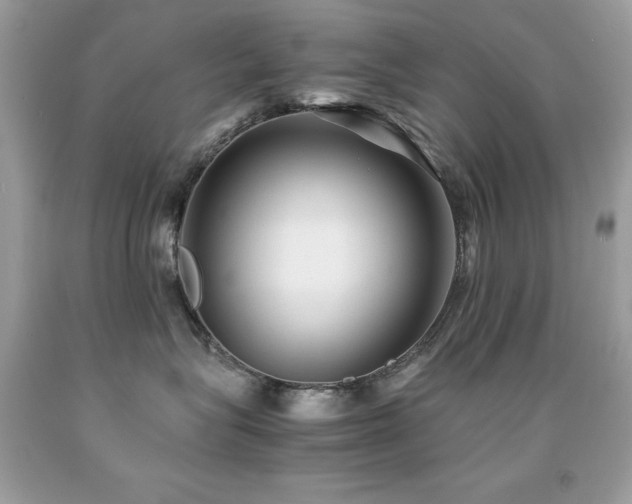 X0000091860575200709051211