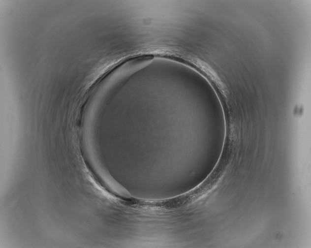 X0000091860577200709051210