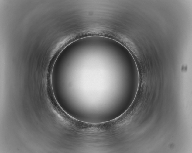 X0000091860578200709051210
