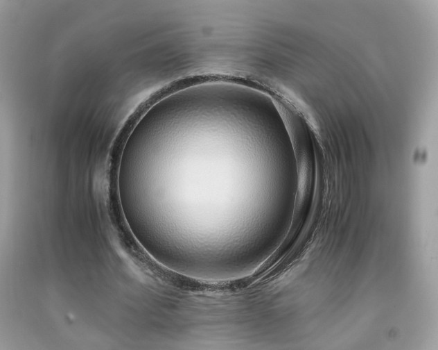 X0000091860580200709051210
