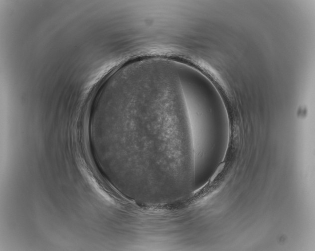 X0000091860581200709051210