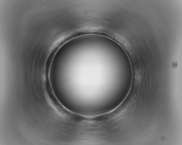 X0000091860582200709051210