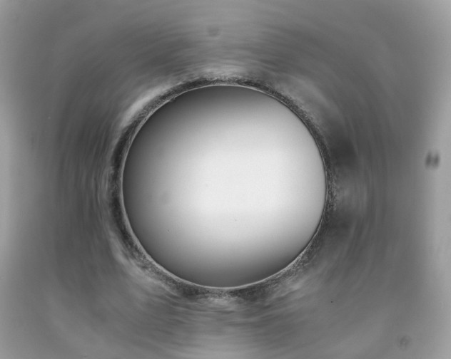 X0000091860583200709051210