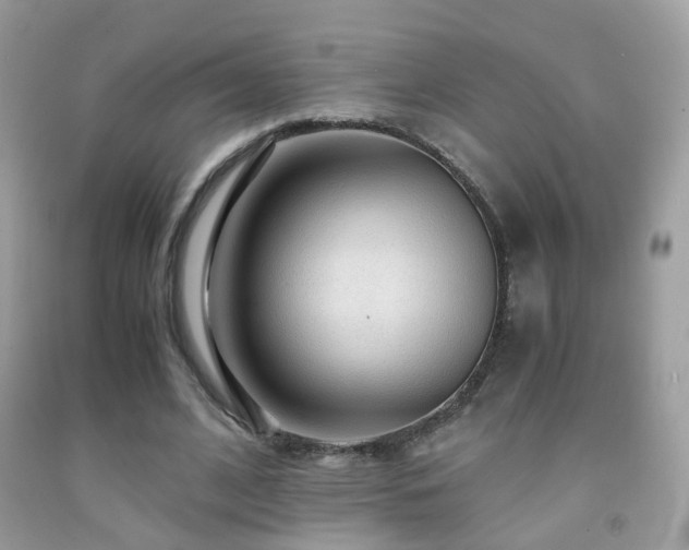 X0000091860584200709051210