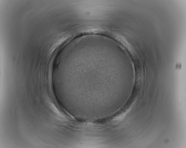 X0000091860585200709051210