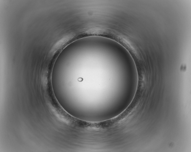 X0000091860586200709051210