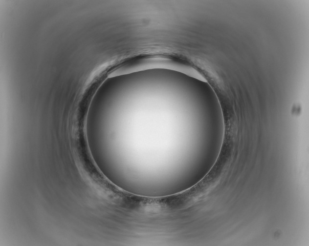 X0000091860587200709051210