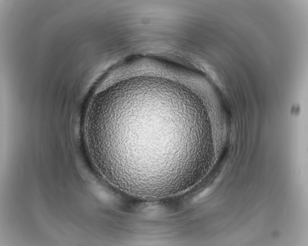 X0000091860589200709051210