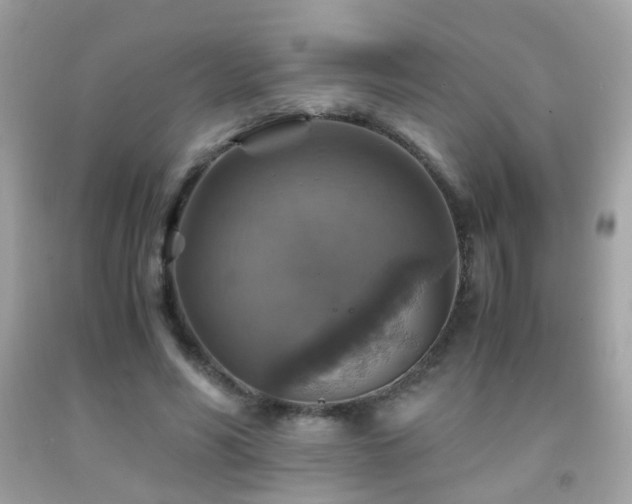 X0000091860590200709051210