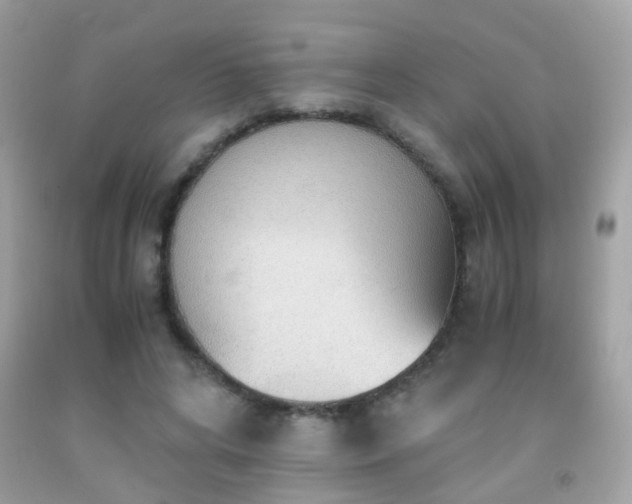 X0000091860592200709051210