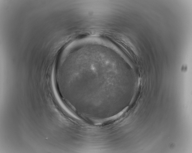 X0000091860593200709051210