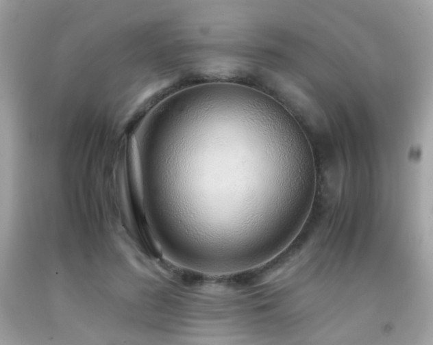 X0000091860596200709051210