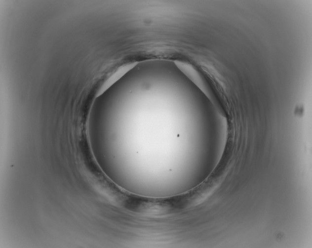 X0000091860597200709051210
