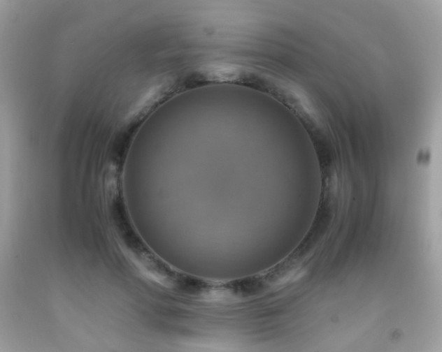 X0000091860598200709051210