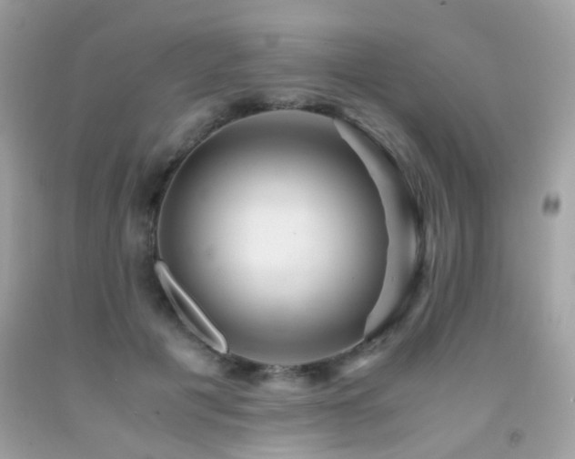 X0000091860601200709051210