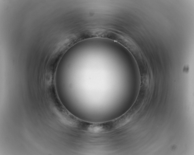 X0000091860602200709051210