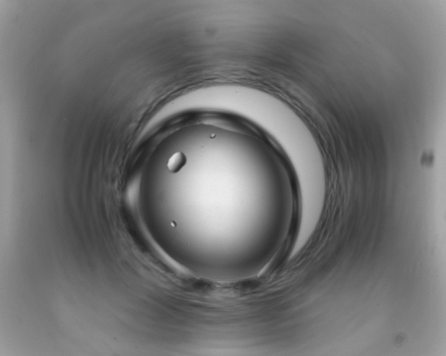 X0000091860604200709051210