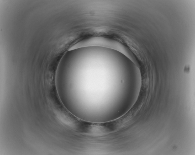 X0000091860605200709051210