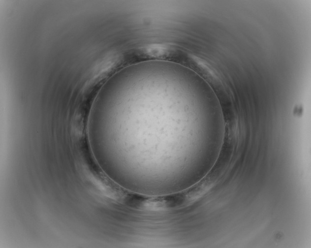 X0000091860606200709051210