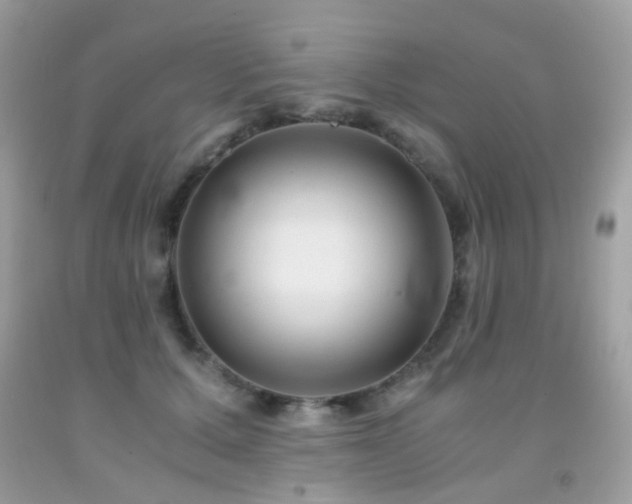 X0000091860607200709051210